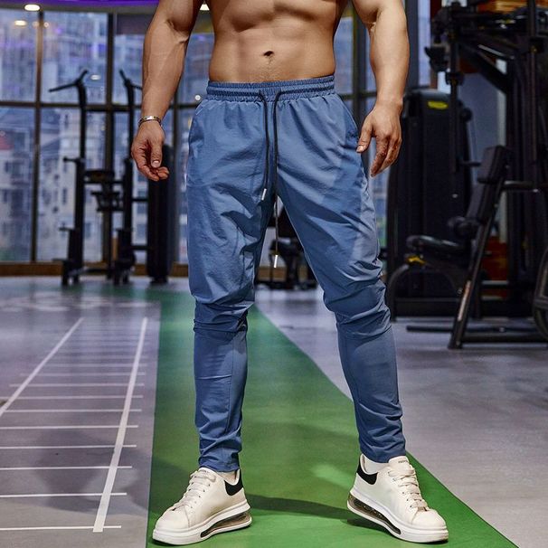 Men's Clothing Thin Ice Silk Sports Trousers Fitness Running Leisure Quick Drying Breathable Elastic Slim Straight Training Pants_viptrois.com