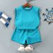 New Vest Set for Boys Sleeveless Net Red Summer Clothes, Big Boy's Western Style Loose Version Children's Clothing_viptrois.com