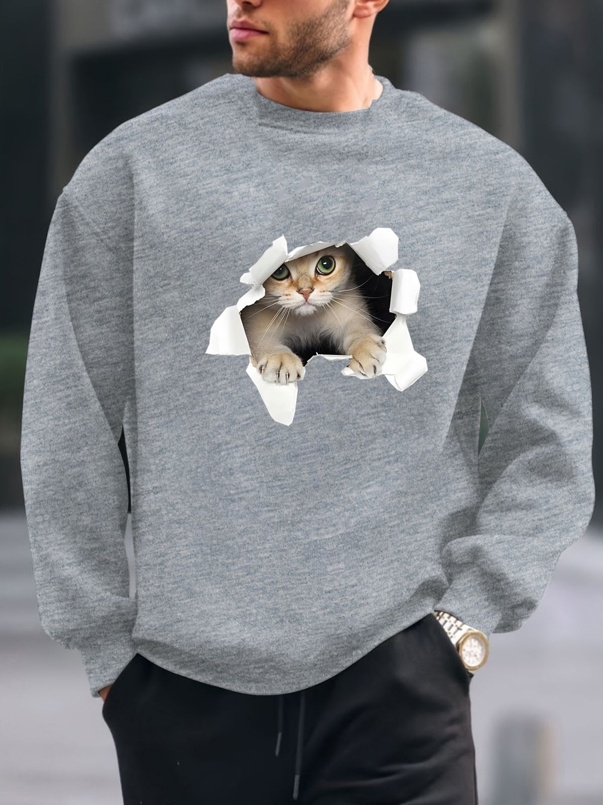 Men's Loose Casual And Fashionable 3D Cat Pattern Printed Round Neck Long Sleeved Sweatshirt For Autumn And Winter_viptrois.com