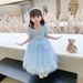 Girls Elsa Princess Dress 2024 Summer New Girls Dress Elsa Princess Mesh Children's Day Performance Skirt Trendy_viptrois.com