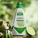 KORMESIC Tea Tree Refreshing Oil Control Shampoo 500ml Shampoo_viptrois.com