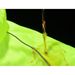 Bicycle Reflective Detachable Raincoat Waterproof Dirt-Resistant Breathable Thin Long-Sleeve Jacket Cycling Clothing_viptrois.com