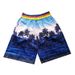 Men's Clothing 588#popular men's 3 sizes beachwear sea style holiday leisure fashion coconut tree beach shorts_viptrois.com