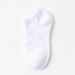 Men's Spring And Summer Mid-tube Socks Absorbent Breathable Business Mid-tube Men's Socks_viptrois.com