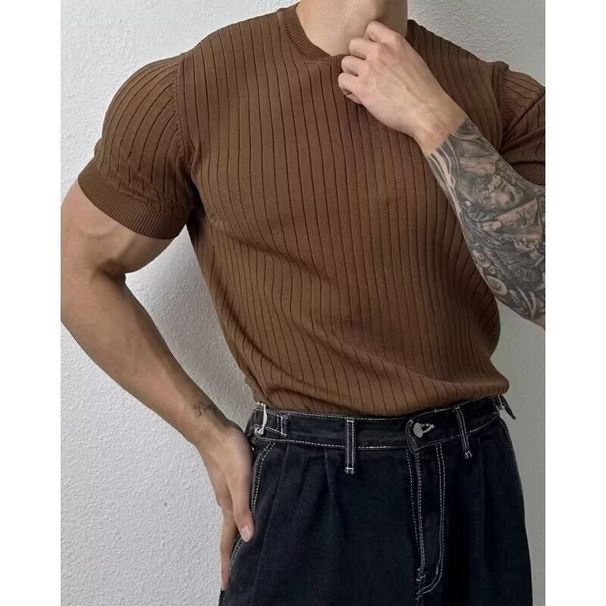 Men's Clothing Summer Men's Knitted Short Sleeved Polo Shirt Slim Pure Color Ice Silk Lapel T Shirt_viptrois.com