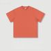 2025 Men's Spring And Summer 305g Heavyweight T-shirt, American-style Pure Cotton Fashion Brand, Pure Color Short-sleeved Shirt_viptrois.com