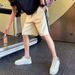 High-end Checkered Shorts, Men's Trendy Brand Casual Five-inch Men's Pants, 2025 New Men's Summer Thin Pants_viptrois.com