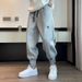 Men's Clothing Four Seasons Thickened Regular Sports Pants Men's Handsome Trendy Design Harem Pants Plus Velvet Casual Cuffed Sweatpants_viptrois.com