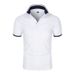 2024 New five Piece High end Polo Shirt Short sleeved Men's Top Summer Fashion Business Casual Breathable T-shirt_viptrois.com