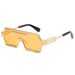 Cyberpunk 2025 Sunglasses - Metallic One-Piece Frame UV400 Unisex Shades (Oversized, Futuristic Style)_viptrois.com
