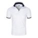 2026 Summer Men's Polo Shirt - Solid Color Short Sleeve Youthful Trendy Casual Collar Short-Sleeved T-Shirt_viptrois.com