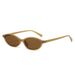 Retro Square Sunglasses - Classic Style | Polarized UV400 Protection & Lightweight Acetate Frame For Men & Women_viptrois.com