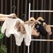 Mother & Kids Children's Spring Long Sleeved Stylish Casual Cartoon Two Piece Suit Trendy_viptrois.com
