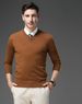 Men's V-Neck Wool Sweater – Autumn-Winter Thermal Knit Pullover (Winter Green/Flower Camel/Night Blue/Black, M-XXXL, Casual Layering Essential)_viptrois.com