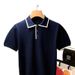 2025d British Elegant Men's Short Sleeve Turn-down Collar Noble Style Fashion Pineiphone Pattern Knitted Polo [High Elastic_viptrois.com