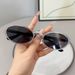 2025 New Copper Material Oval Fashion Printed Sunglasses For Women, Instagram Style Cat Eyes_viptrois.com