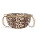 Women's Leopard Print Crossbody Bag - Stylish Shoulder Purse For Women (Lightweight & Spacious For Daily Use)_viptrois.com