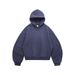 Men's Cropped Hooded Sweatshirt With Raglan Sleeves - Winter Fleece-Lined Pullover, Relaxed Fit, Eggshell Fleece Lining, Casual Streetwear For Youth_viptrois.com