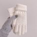 Winter new pineapple style cashmere full finger touch screen knitted warm jacquard fashion plus velvet thickened wool gloves_viptrois.com