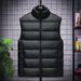 Men's Clothing Vest Men's Slim Winter Hot Sale Autumn And Winter Warm Down Cotton_viptrois.com