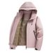 Pure Winter Goose Men's Down Inner Liner Three-in-One 0.05kg Piece Set Couple Style Windproof Waterproof Hooded Jacket_viptrois.com