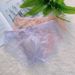 Pulse New Sexy Temptation Seamless Triangle Panties Transparent U-Convex Personality Lace Extra Hot Men's Plus Size Underwear_viptrois.com