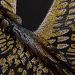 Men's Clothing Hot Diamond Eagle Trend Round Neck Men's Clothing Autumn Tops_viptrois.com