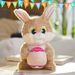 Cross Border Easter Bunny Plush Doll Bunny Plush Doll Soothing Companion Sleeping Doll Gift_viptrois.com