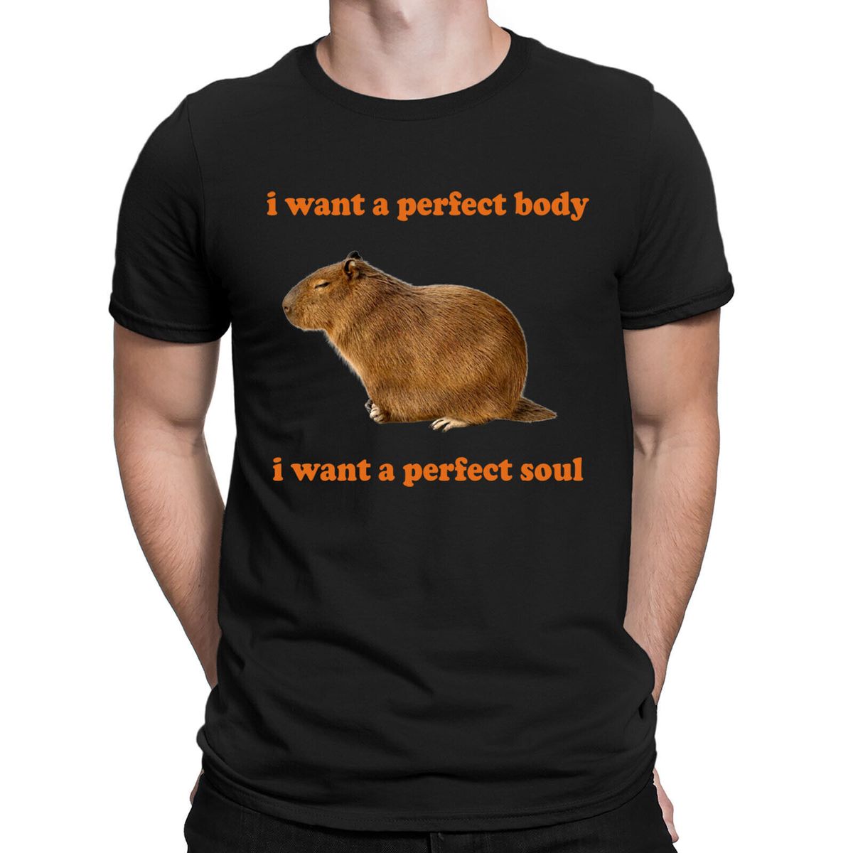 Capybara I Want A Perfect Body I Want A Perfect Soul Funny Meme Mens T-Shirt Mens Womens Tees Tops #D_viptrois.com