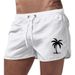 Men's Clothing Summer Beach Shorts Men's Sports Pants Fashionable Quick Drying Travel Polyester Multi Color Printing Can Be Printed With LOGO_viptrois.com