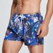 Cross-border foreign trade men's beach pants seobean Hibbing peach velvet men's diving boating surfing swimming trunks_viptrois.com
