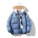 Unisex Layered Cotton Jacket – Winter-Ready Hooded Coat With Windproof Design (M-4XL, Blue/Pink/Black/Charcoal/Khaki)_viptrois.com