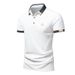2025d Polo Short Men's 2025 Summer Trendy Brand Turn-down Collar Base T-Shirt Half Sleeve Shirt_viptrois.com