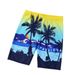 Men's Clothing New Style Swimming Trunks Men's Shorts Swimming Trunks Men's Fashion Plus Size Loose Boxer Beach Hot Spring Swimming Trunks_viptrois.com