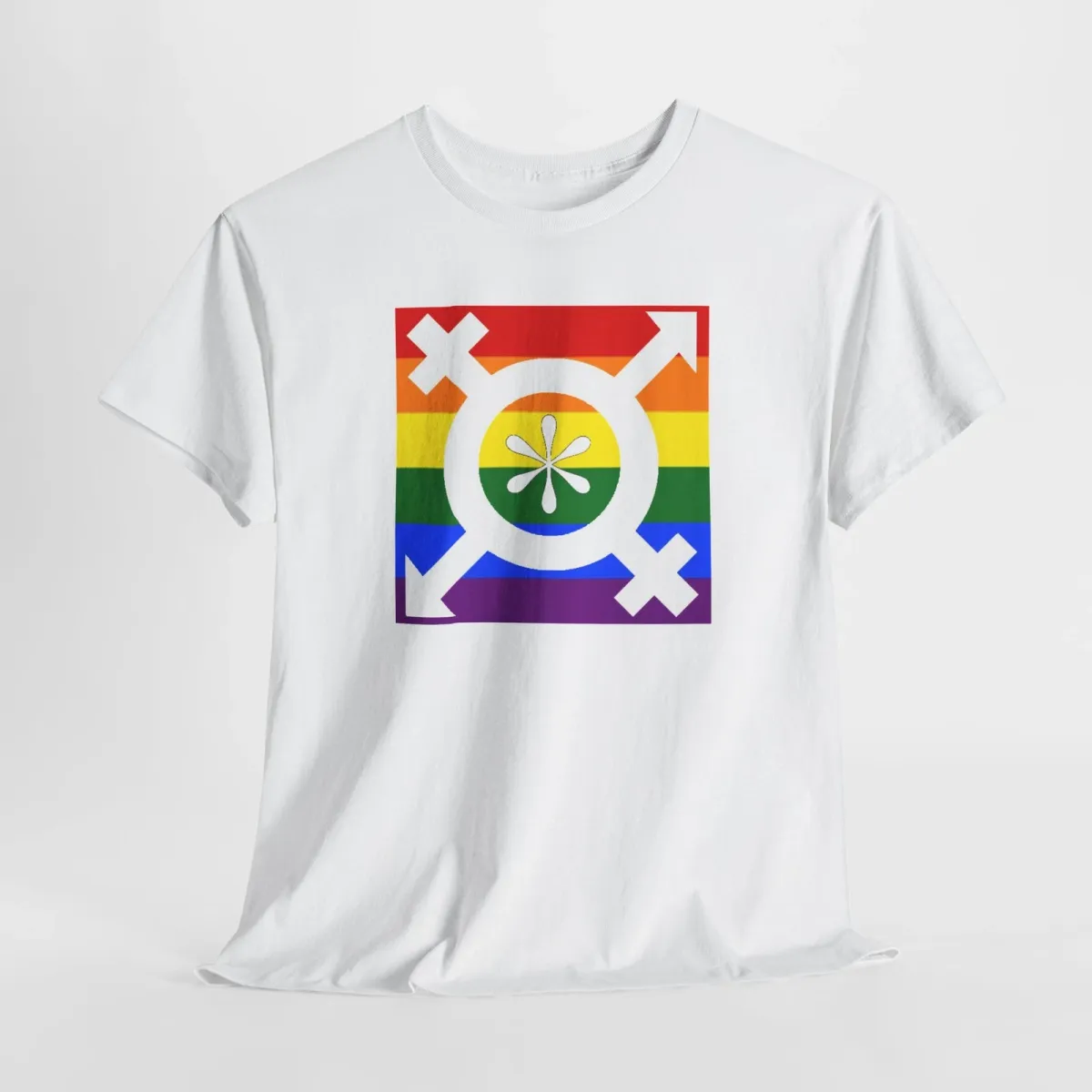 Diverse Pride Tee, LGBTQ Inclusive Shirt, Rainbow Flag Progress Top, Intersex_viptrois.com