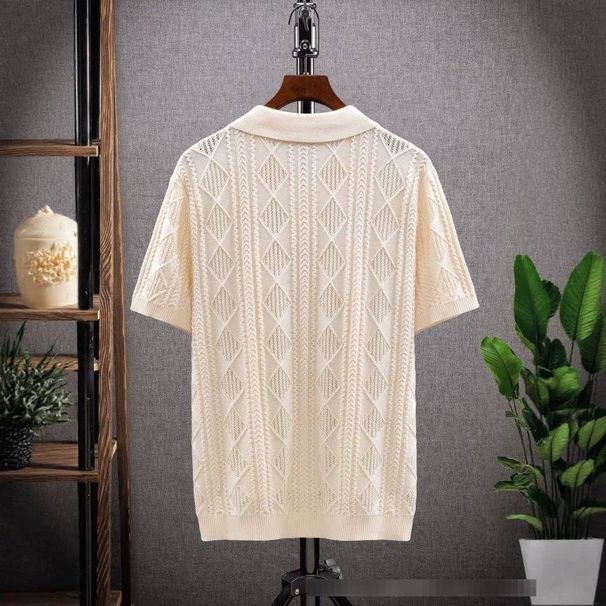 Men's Rib-Knit Polo Shirt, Textured Short Sleeve Top With Contrast Collar, Breathable Casual Wear For Daily Outings_viptrois.com