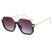 New Style Large Frame Face-slimming Double Bridge UV Protection Glasses Sunglasses For Women_viptrois.com