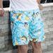 Men's Clothing Beach Pants Men's Summer Large Size Quick Drying Loose Thin Men's Shorts Casual Printed Five Point Swimming Trunks_viptrois.com