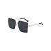 New Square Men's Sunglasses Street Shooting Metal Frame Net Celebrity Style Female Sunglasses T1374_viptrois.com