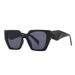 Unisex Sunglasses Modern Sunglasses Street Photography Ins Celebrity Model Cat-eye Sunglasses_viptrois.com
