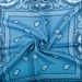 Unisex Polyester 54x54 cashew nut flower amoeba square Hip Hop hop riding bandana sunflower seed flower handkerchief_viptrois.com