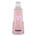 Ultrasonic Skin Scrubber Blackhead Cleaner Skin Spatula Deep Skin Facial Cleaner_viptrois.com