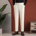 Whale Lion Neapolitan Single Pleated Trousers High End Business Casual Straight Leg Summer Dress Pants For Men_viptrois.com