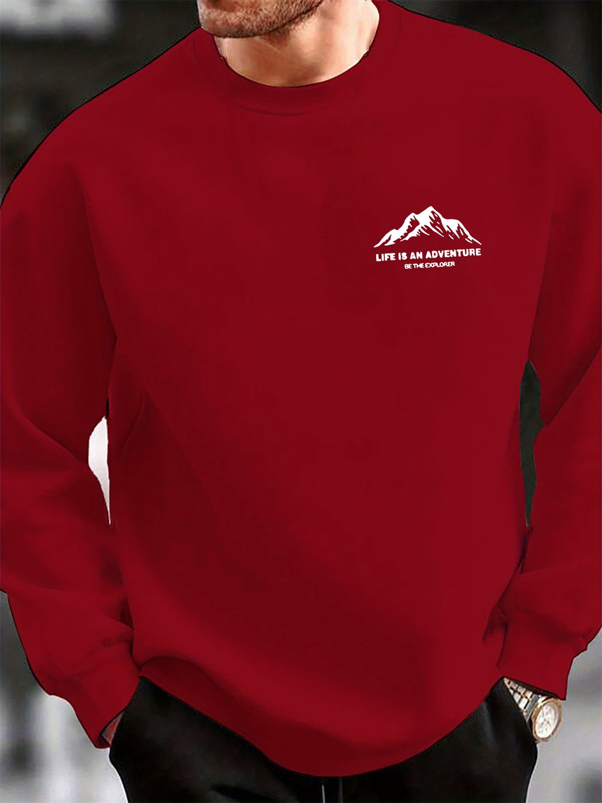 Men's Loose Casual Fashionable Mountain And Letter Pattern Printed Round Neck Long Sleeved Sportswear For Autumn And Winter_viptrois.com