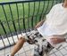 Men's Summer Casual Straight Leg Graffiti Fashion Shorts Trendy Versatile Five Point Pants Fancy Beach Wear_viptrois.com