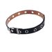 Punk Style Single Row Eyelet Hollow Belt With Chain And Versatile Pin Buckle_viptrois.com