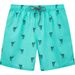 Loose Surf Printed Plus Size Men's Four-Quarter Beach Shorts With Inner Lining_viptrois.com