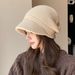 Women's Hats Autumn And Winter Knitted Hat Fashion Ins Warm Earmuffs Pile Hat Loose Outdoor Large Head Circumference Wool Hat For Women_viptrois.com