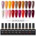 Parkson 20 Colour Gel Nail Polish Set For Manicure Semi Permanent Nude Pink Gel Varnish Wholesale UV Gel Lacquer Nail Art Kits_viptrois.com