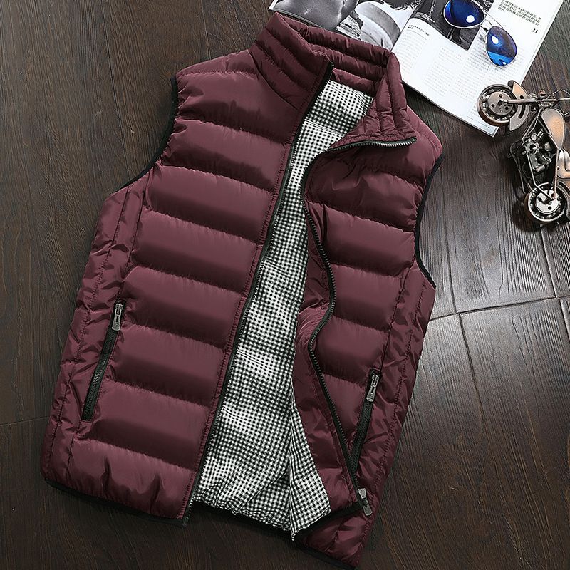 Men's Clothing VestAutumn And Winter Korean Style Trend Handsome Men Warm Vest Thick Vest Men's Jacket 10 Colors_viptrois.com